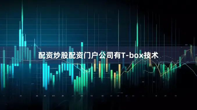配资炒股配资门户公司有T-box技术