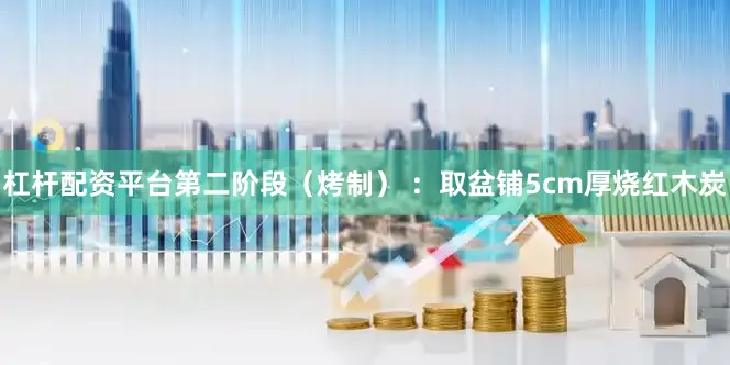 杠杆配资平台第二阶段（烤制） ：取盆铺5cm厚烧红木炭