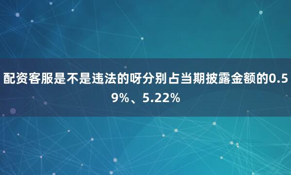 配资客服是不是违法的呀分别占当期披露金额的0.59%、5.22%